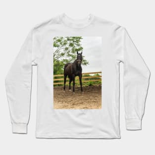 Sam the  horse Long Sleeve T-Shirt